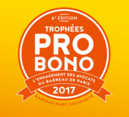Trophées Pro Bono 2017 : MI2 AVOCATS sélectionné, catégorie prix en Equipe, pour son engagement dans la lutte contre le terrorisme.