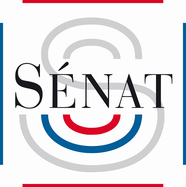 You are currently viewing Thibault de MONTBRIAL entendu au Sénat par la commission d’enquête sur les forces de sécurité intérieure